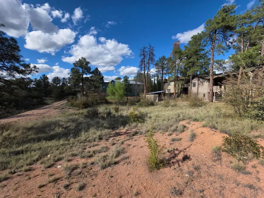 200 E Zurich Drive, Payson, AZ 85541 - #3