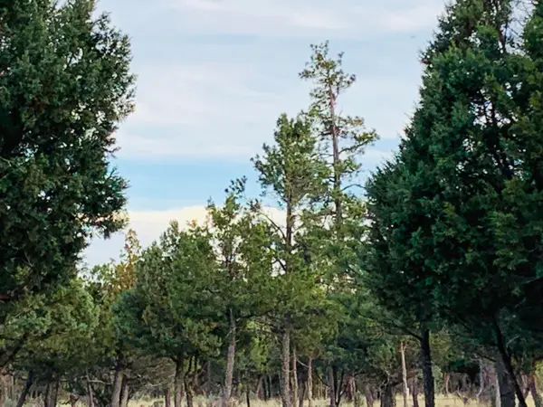 5732 Raton Cir Circle, Happy Jack, AZ 86024