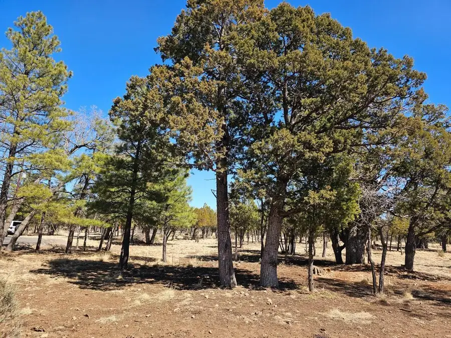 5732 Raton Circle, Happy Jack, AZ 86024 - #2