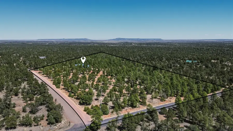 6841 Whispering Pine Drive, Happy Jack, AZ 86024 - #3