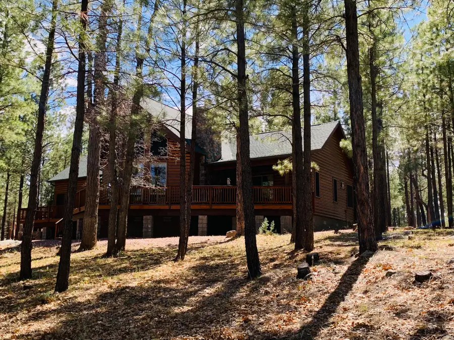 4401 Stargazer Dr Drive, Happy Jack, AZ 86024 - #2