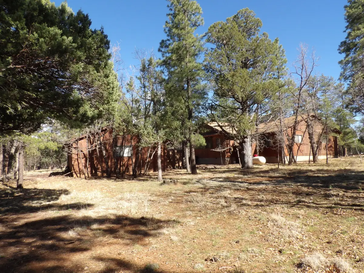 1778 Velvet Antler Trail, Happy Jack, AZ 86024 - #1
