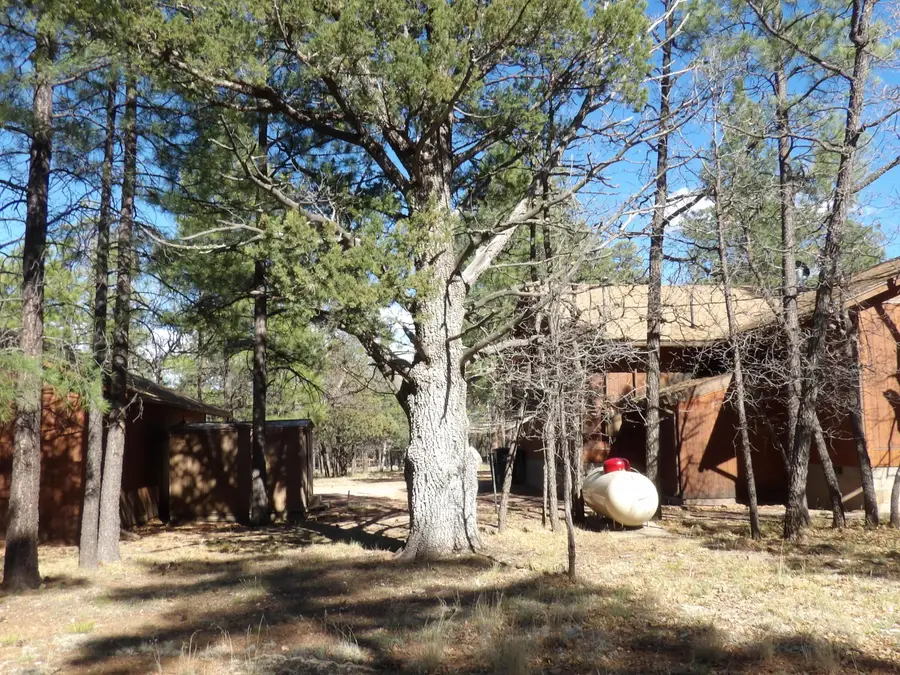 1778 Velvet Antler Trail, Happy Jack, AZ 86024 - #2