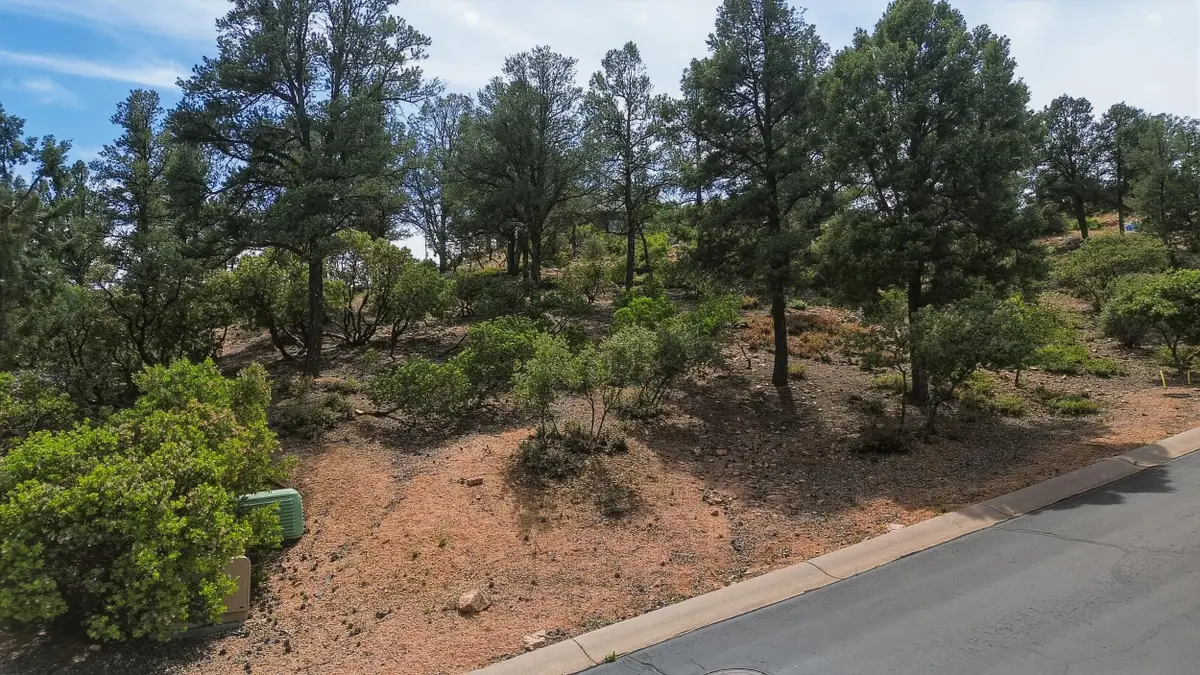 1911 E Starlight Pass, Payson, AZ 85541 - #1