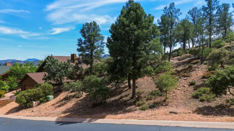 1911 E Starlight Pass, Payson, AZ 85541 - #3