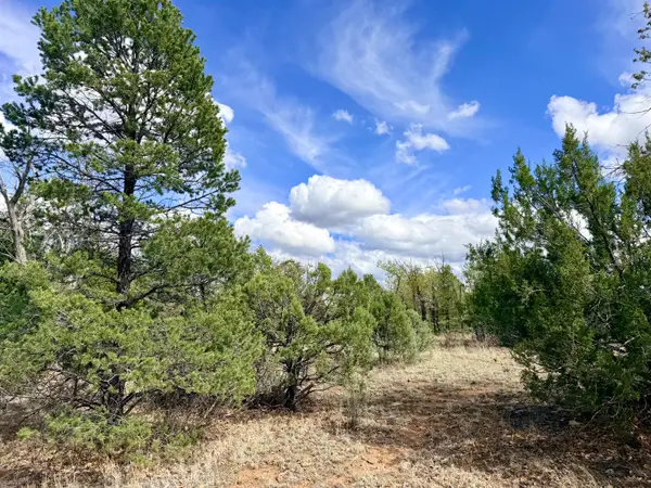 7112 Horizon Circle, Happy Jack, AZ 86024