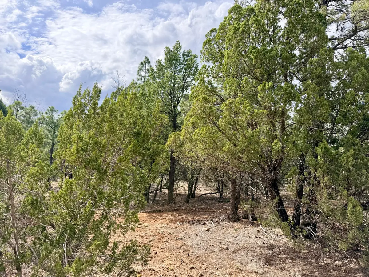2588 Spoonbill Drive, Happy Jack, AZ 86024 - #1