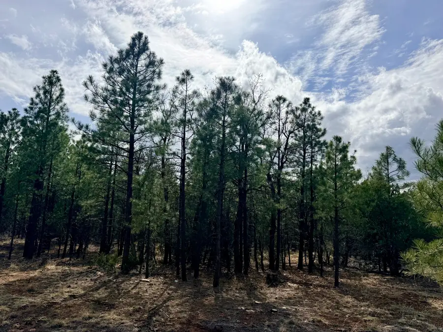 2588 Spoonbill Drive, Happy Jack, AZ 86024 - #3