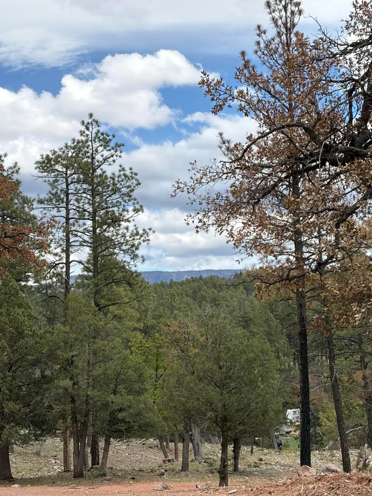 115 E Long Ranch Road, Payson, AZ 85541 - #1
