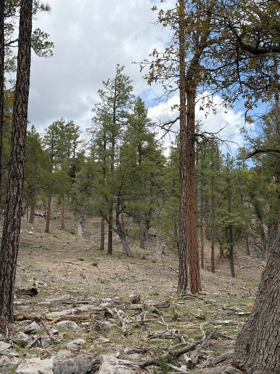 115 E Long Ranch Road, Payson, AZ 85541 - #2