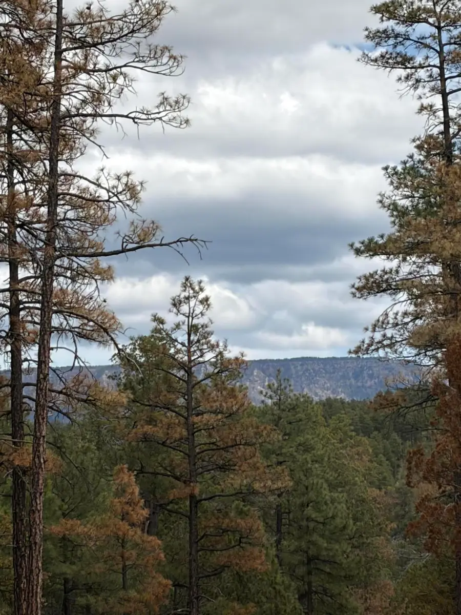 115 E Long Ranch Road, Payson, AZ 85541 - #3