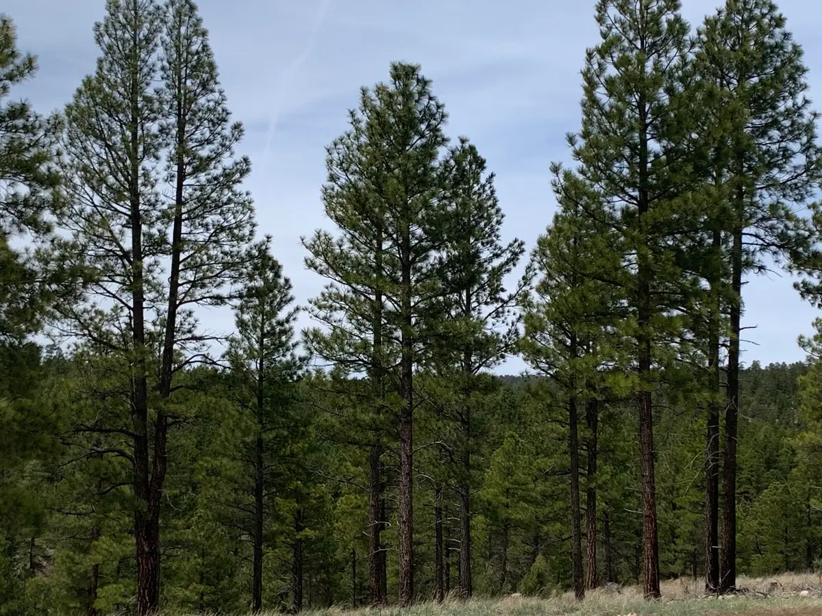 1270 Moqui Drive, Happy Jack, AZ 86024 - #1