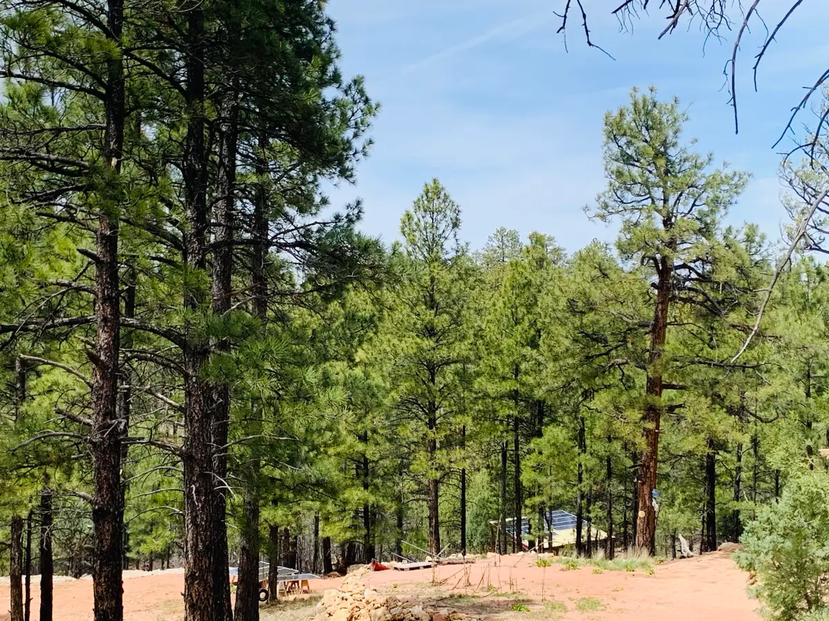 2816 Canyon View Drive, Happy Jack, AZ 86024 - #1