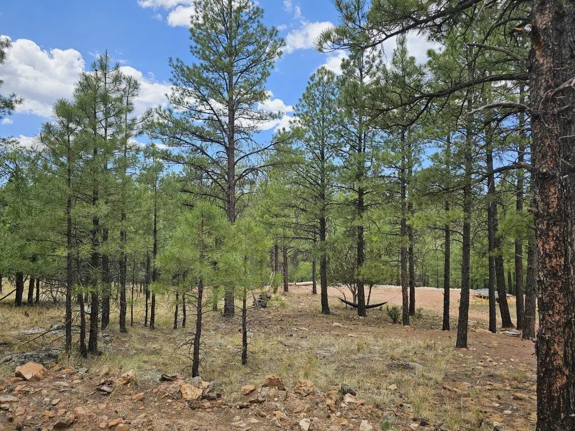 2788 Canyon View Drive, Happy Jack, AZ 86024 - #1