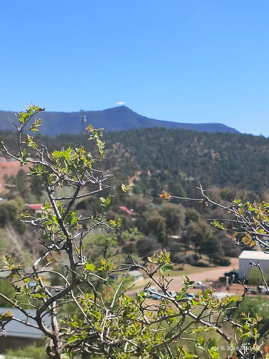 LOT 7 Union Park Drive, Star Valley, AZ 85541 - #3