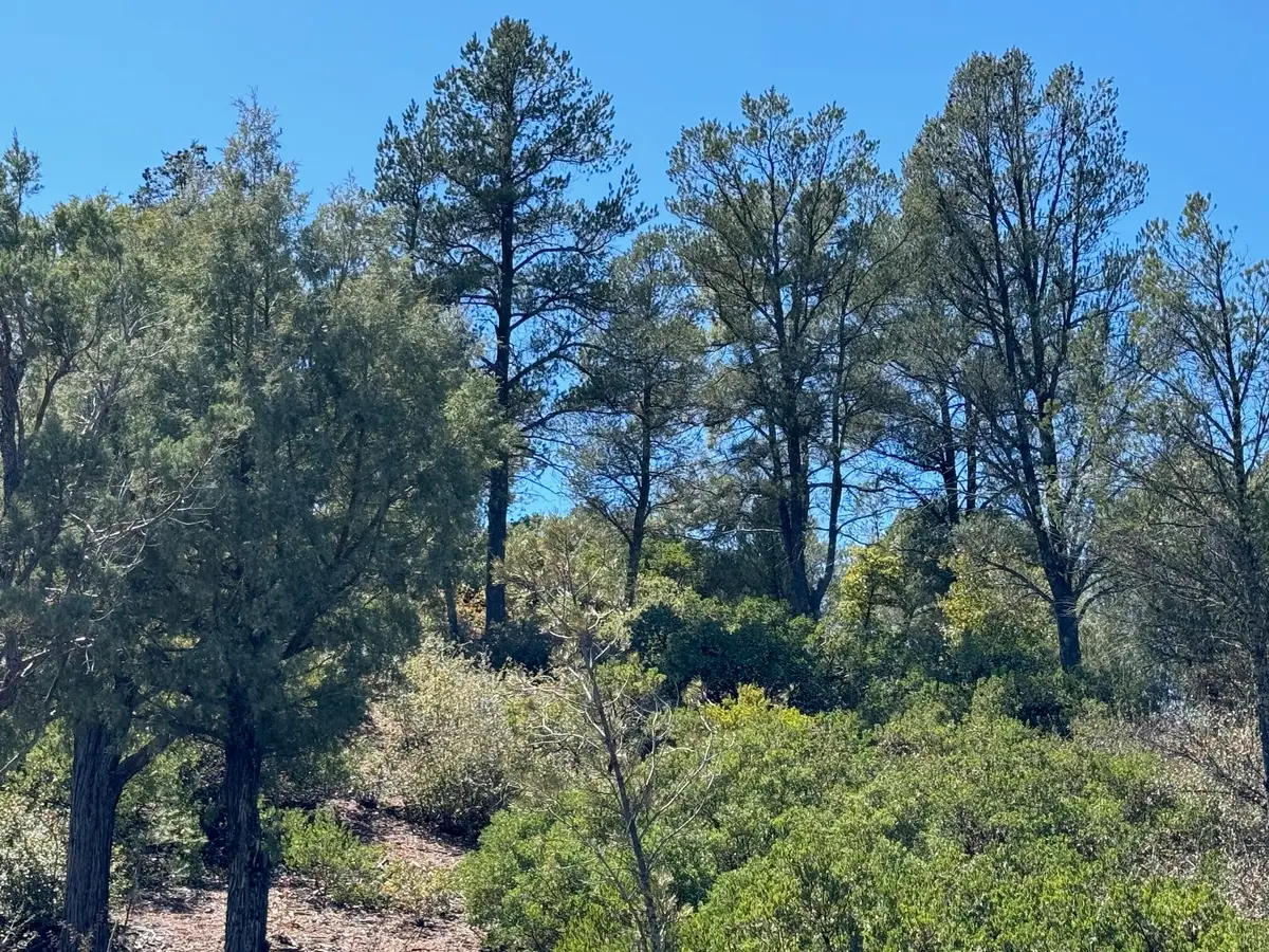 912 N Indian Paintbrush Circle, Payson, AZ 85541 - #1