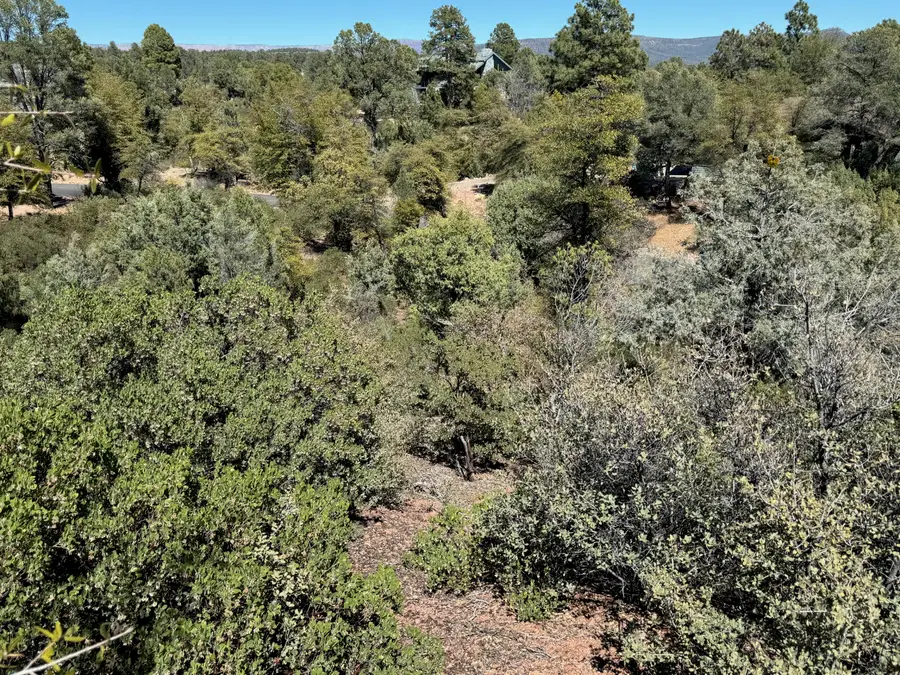 912 N Indian Paintbrush Circle, Payson, AZ 85541 - #2