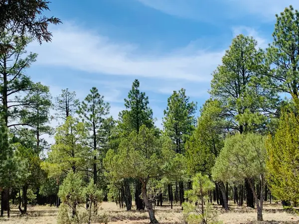 2874 Timber Ridge Circle, Happy Jack, AZ 86024