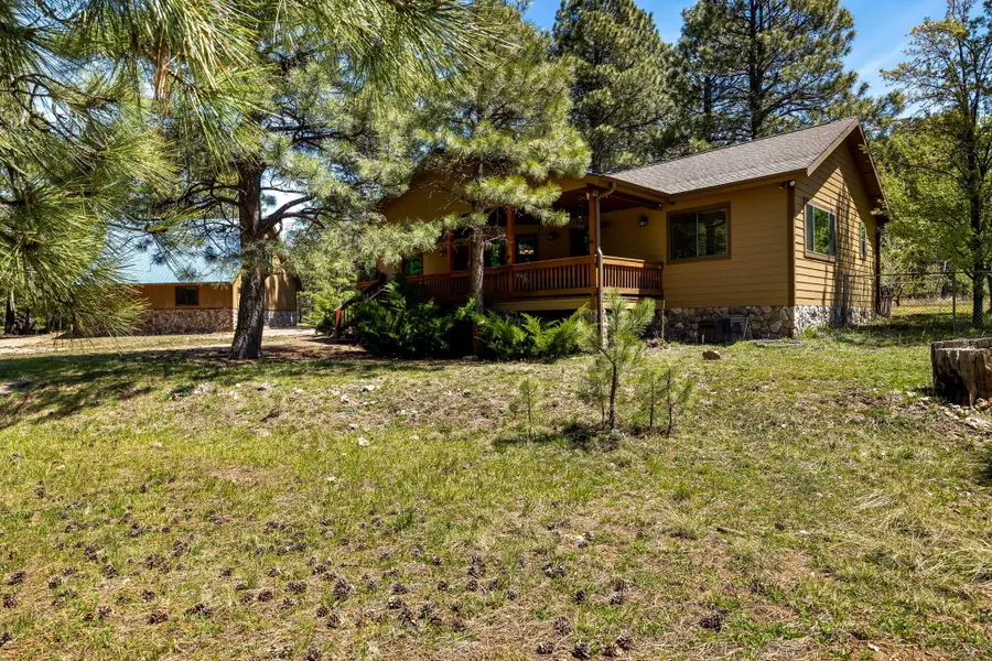 1320 Elk Drive, Forest Lakes, AZ 85931 - #3