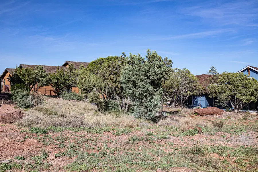 1510 W Wagon Trail, Payson, AZ 85541 - #3