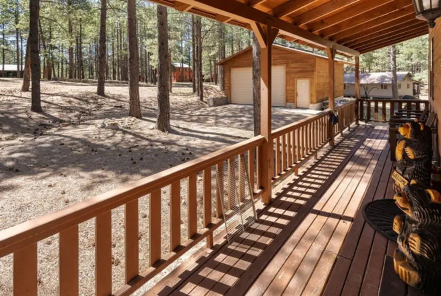 341 Pinto Road, Forest Lakes, AZ 85931 - #3