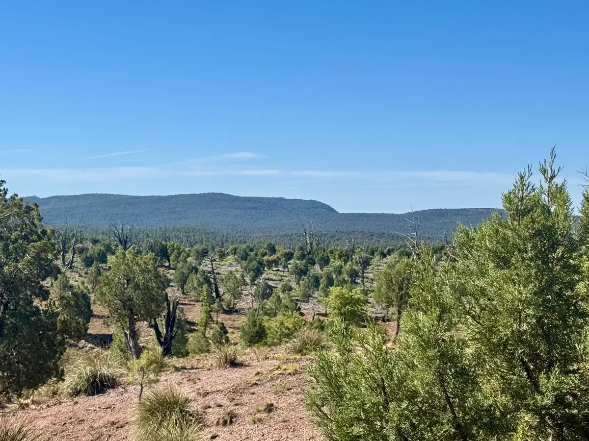 744 E Antelope Trail, Payson, AZ 85541 - #1