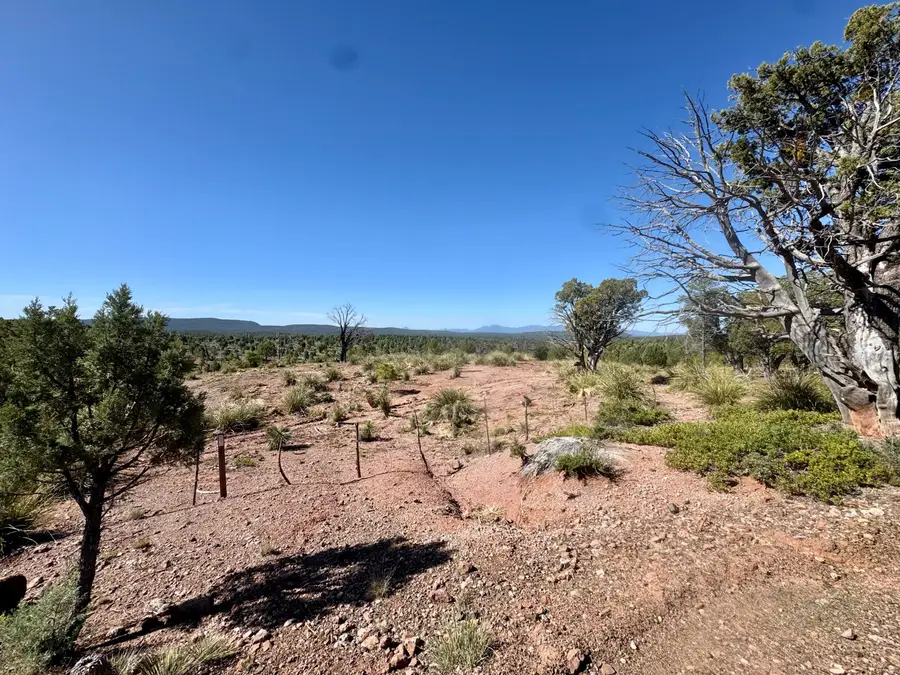 744 E Antelope Trail, Payson, AZ 85541 - #3