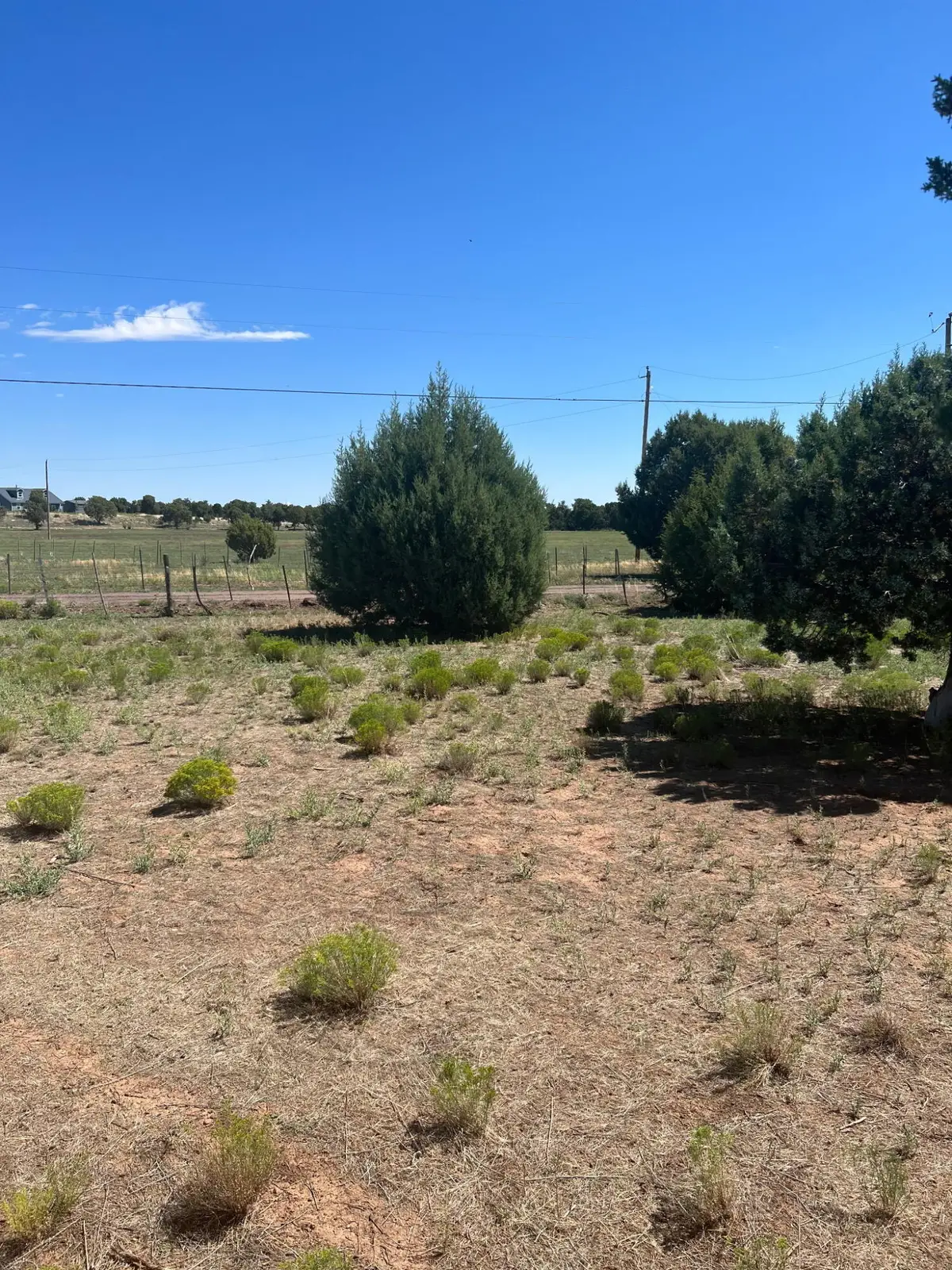018K N Turkey Lake Road, Show Low, AZ 85901 - #1