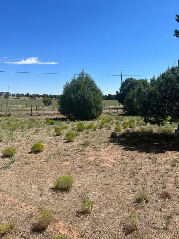 018K N Turkey Lake Road, Show Low, AZ 85901