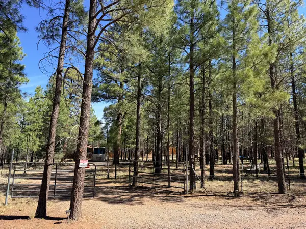 815 Reata Pass, Happy Jack, AZ 86024