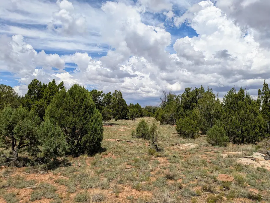 8384 Haven Crest Drive, Happy Jack, AZ 86024 - #3