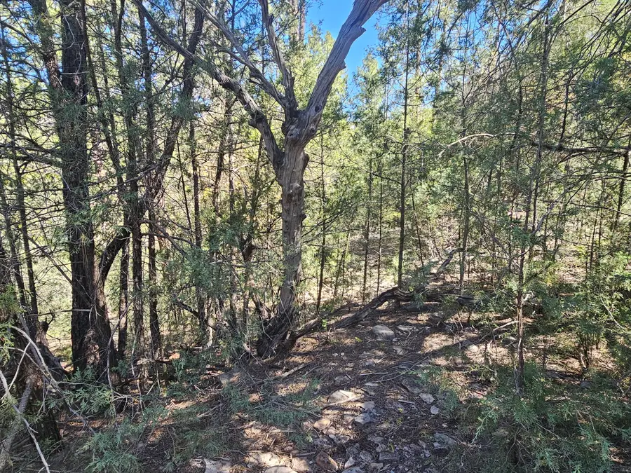 3054 Neal Drive, Payson, AZ 85541 - #2