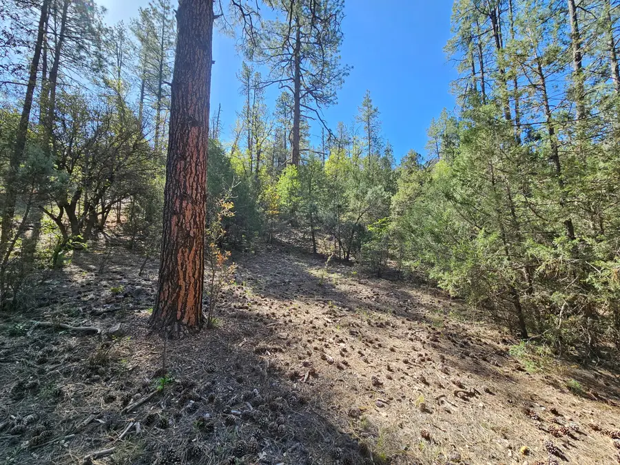 3054 Neal Drive, Payson, AZ 85541 - #3
