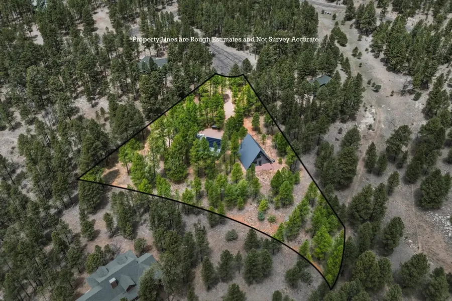 4596 Cree Circle, Happy Jack, AZ 86024 - #3