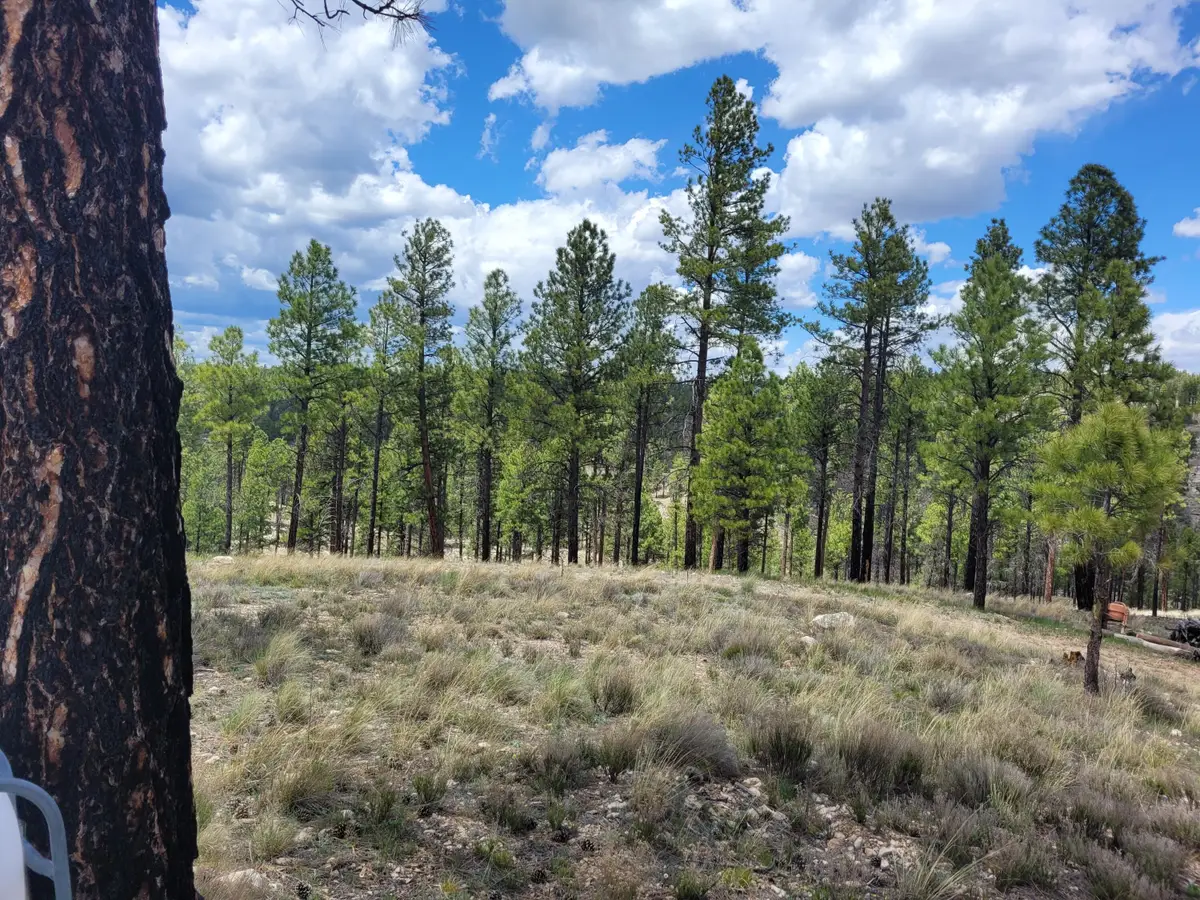 525 Moqui Drive, Happy Jack, AZ 86024 - #1