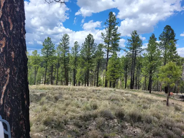 525 Moqui Drive, Happy Jack, AZ 86024