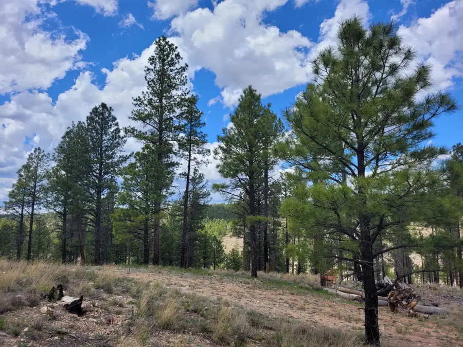 525 Moqui Drive, Happy Jack, AZ 86024 - #3