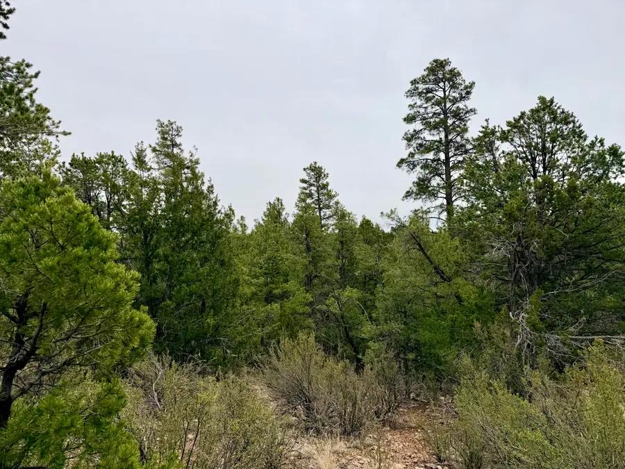 4918 Sunset Ridge Loop, Happy Jack, AZ 86024 - #2