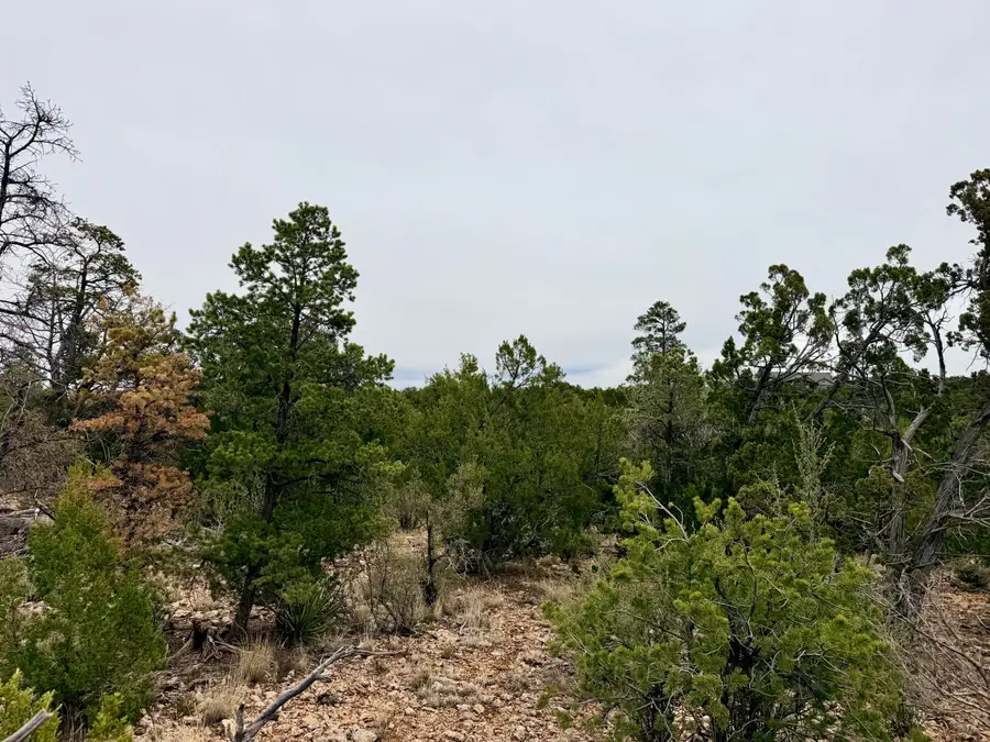 4918 Sunset Ridge Loop, Happy Jack, AZ 86024 - #3