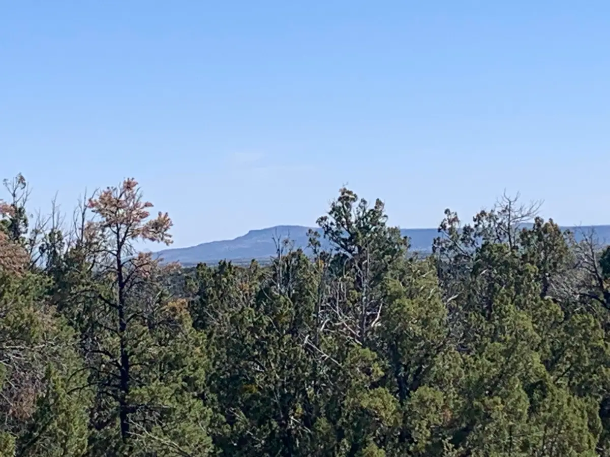 3621 Meadow Wood Drive, Happy Jack, AZ 86024 - #1