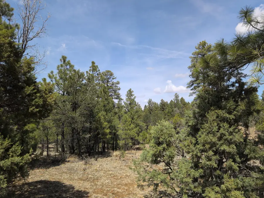 3621 Meadow Wood Drive, Happy Jack, AZ 86024 - #2
