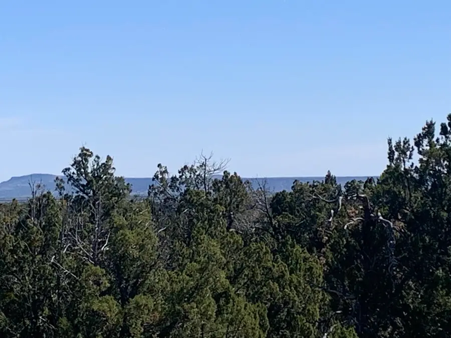 3621 Meadow Wood Drive, Happy Jack, AZ 86024 - #3