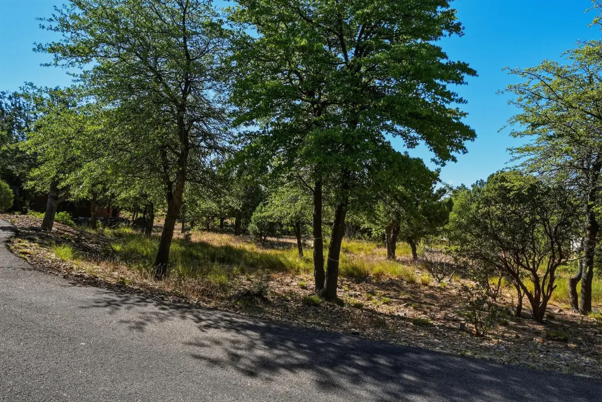 6695 Buffalo Run, Pine, AZ 85544 - #1