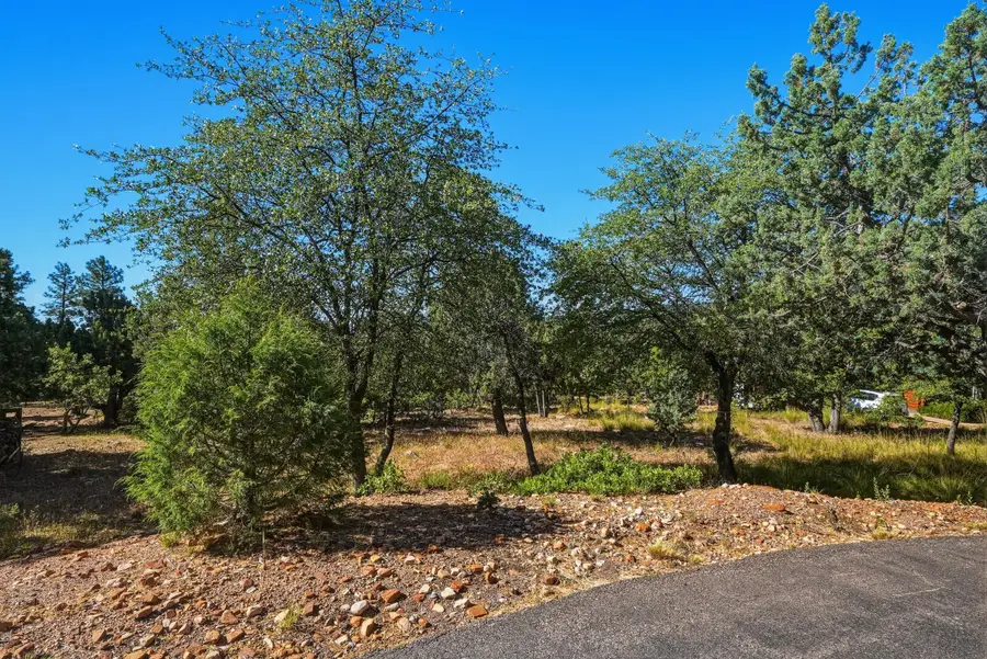 6695 Buffalo Run, Pine, AZ 85544 - #2