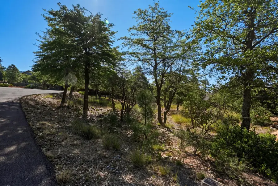 6695 Buffalo Run, Pine, AZ 85544 - #3
