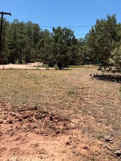 Lot 46 Park Rd, Payson, AZ 85541 - #2