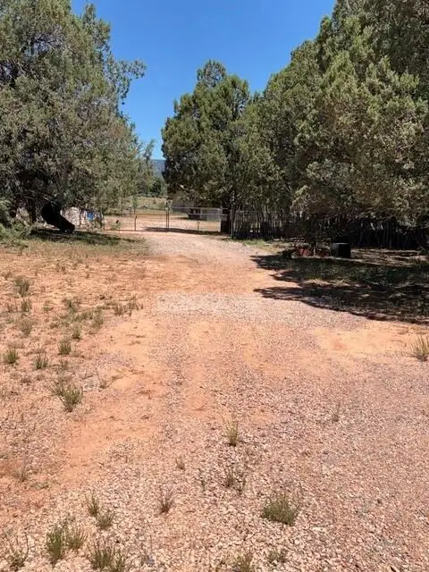 Lot 46 Park Rd, Payson, AZ 85541 - #3