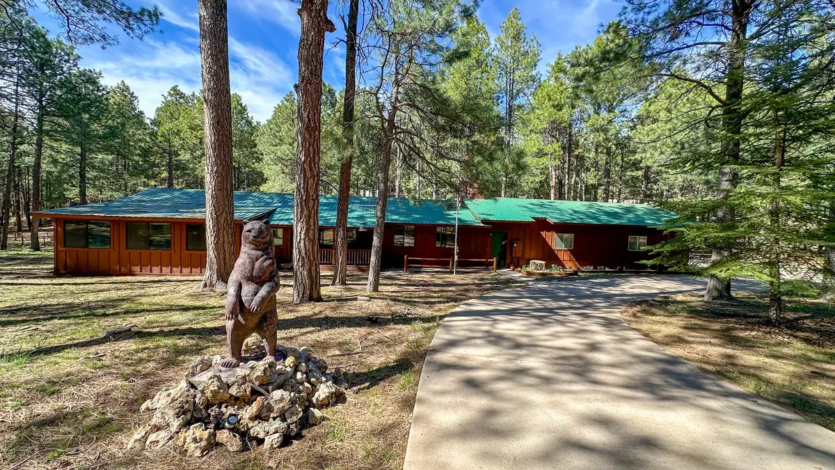 2499 Canyon Drive, Forest Lakes, AZ 85931 - #1