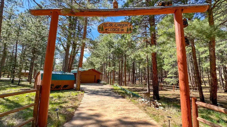 2499 Canyon Drive, Forest Lakes, AZ 85931 - #3