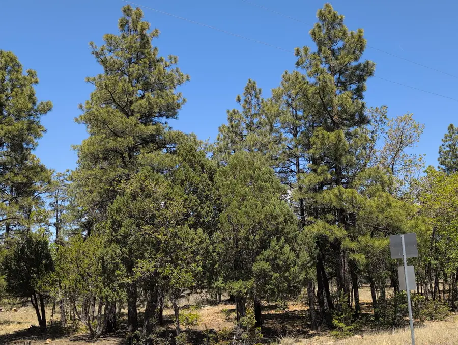 2869 Roundup Circle, Happy Jack, AZ 86024 - #2